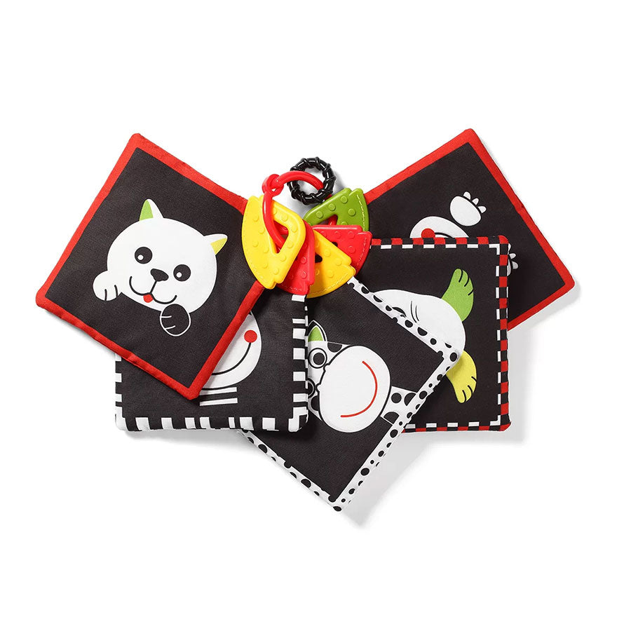 Образователни Карти Dream Team C More Babyono
