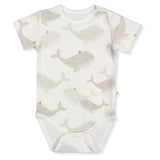 T3888 Боди К.р. Whales Сив 24 36м 98см Bebetto