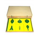 Дървен Ботанически И Биологически Шкаф - Дървени Играчки - Smartbaby - BebeMama