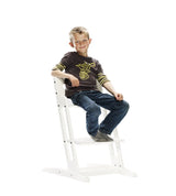 Babydan - Столче За Хранене Danchair Limited --- BebeMama