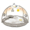 Активна Гимнастика Chicco 3 В 1 Baby Gym --- BebeMama