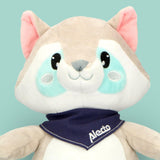 Плюшена Играчка Raccoon С Мелодии И Светлина Bc351 Alecto