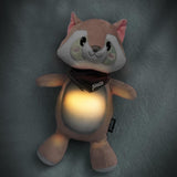 Плюшена Играчка Raccoon С Мелодии И Светлина Bc351 Alecto