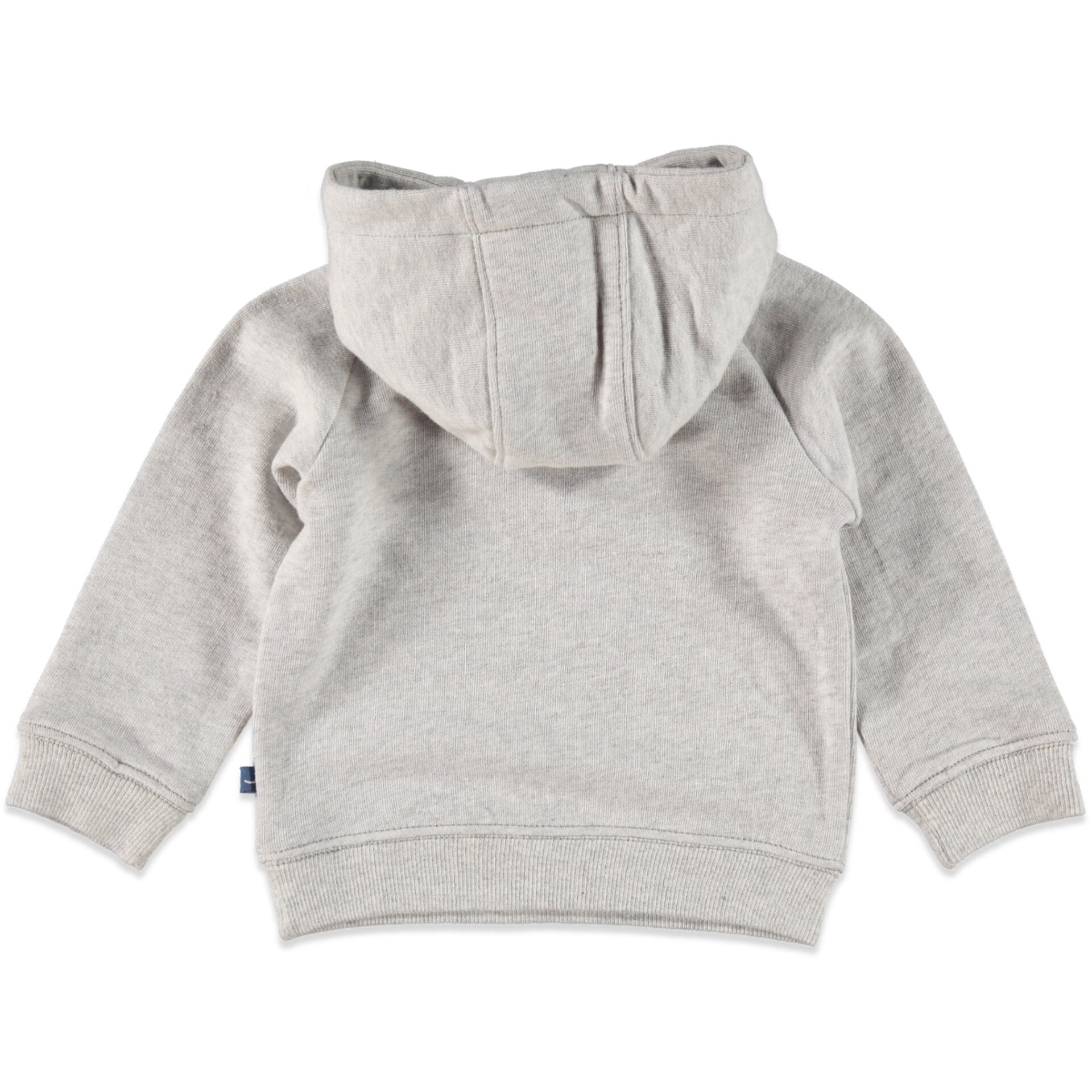 Детски Суитшърт За Момче Сив, 86 См. 18 24 М. Babyface
