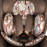 Ct6015 All In All Extra Столче За Кола Tiger Tale Cosatto