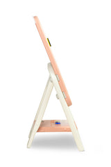 Образователна Дъска За Рисуване Със Стол Тед Pink Caretero Toyz --- BebeMama