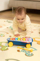 Образователна Играчка - Rainbow Cymbals Caretero Toyz --- BebeMama