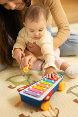 Образователна Играчка - Rainbow Cymbals Caretero Toyz --- BebeMama