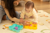 Образователна Играчка - Пеперуда Caretero Toyz --- BebeMama