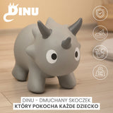 Играчка За Яздене Dinu Pink