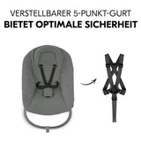 Бебешка Люлка Alpha Bouncer Premium Dark Grey Hauck