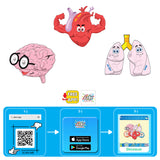 Puzzle-uri bulgare cu mesaje vocale și narative despre organele din corpul uman pentru cei mici, cu dimensiuni 11x10, total 30 de piese, 10 modele a câte 2 piese, cu realitate augmentată 20x17x4, în 16 limbi, din spumă Eva.