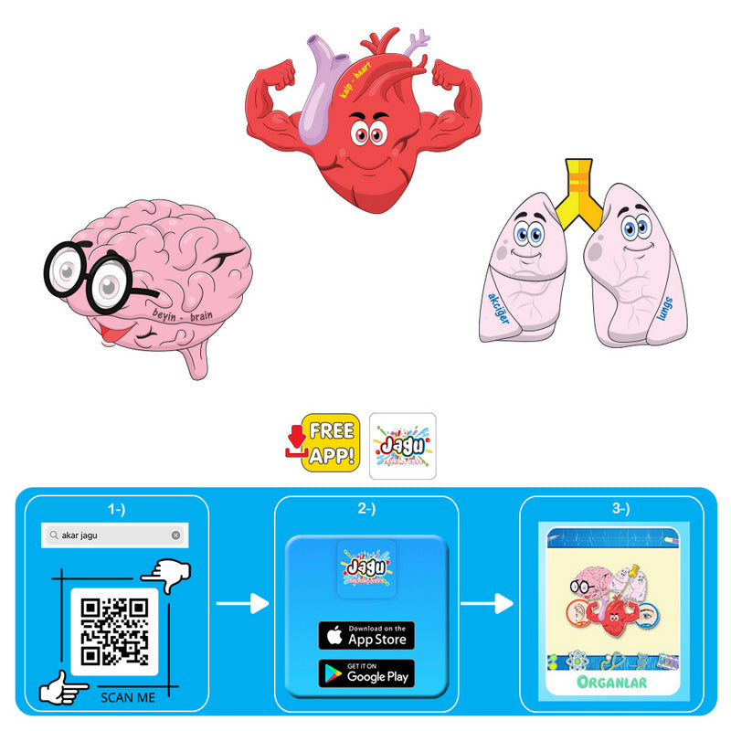 Puzzle-uri bulgare cu mesaje vocale și narative despre organele din corpul uman pentru cei mici, cu dimensiuni 11x10, total 30 de piese, 10 modele a câte 2 piese, cu realitate augmentată 20x17x4, în 16 limbi, din spumă Eva.
