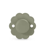 Suzetă Sx Pro 0-6 Hedge Green Wonder Suavinex