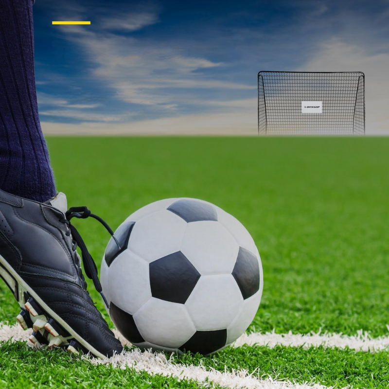 Poartă de fotbal Dunlop 300X205X120
