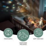 Плюшена Играчка За Сън С Проектор И Мелодии Raccoon Zopa