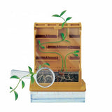 Детска Образователна Игра &Quot;Моята Първа Оранжерия&Quot; --- BebeMama